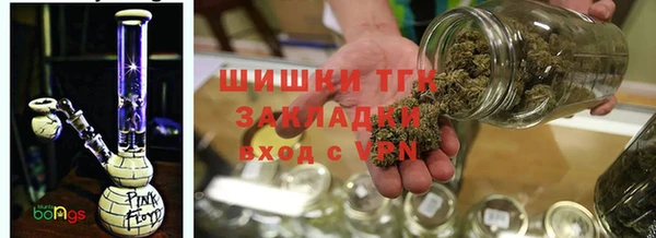 индика Богданович